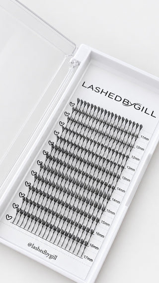 Anime Lash Trays